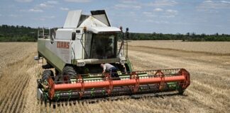За даними міністерства, аграрії України намолотили 33 млн тонн зерна збір зерна україні